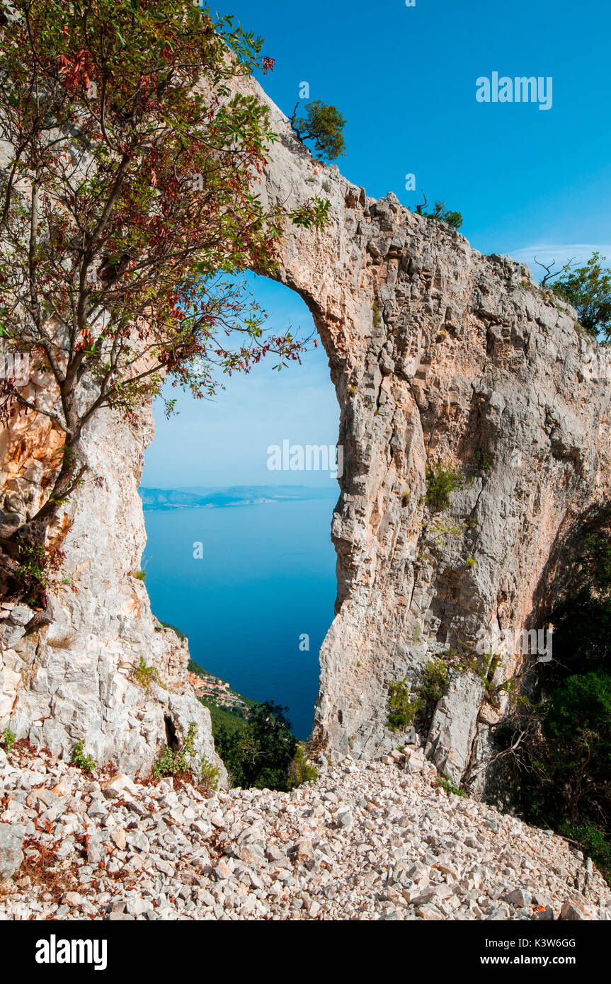 Arco Naturale, cala Mariolu, Baunei, provincia di Ogliastra, Sardegna, Italia. Foto Stock