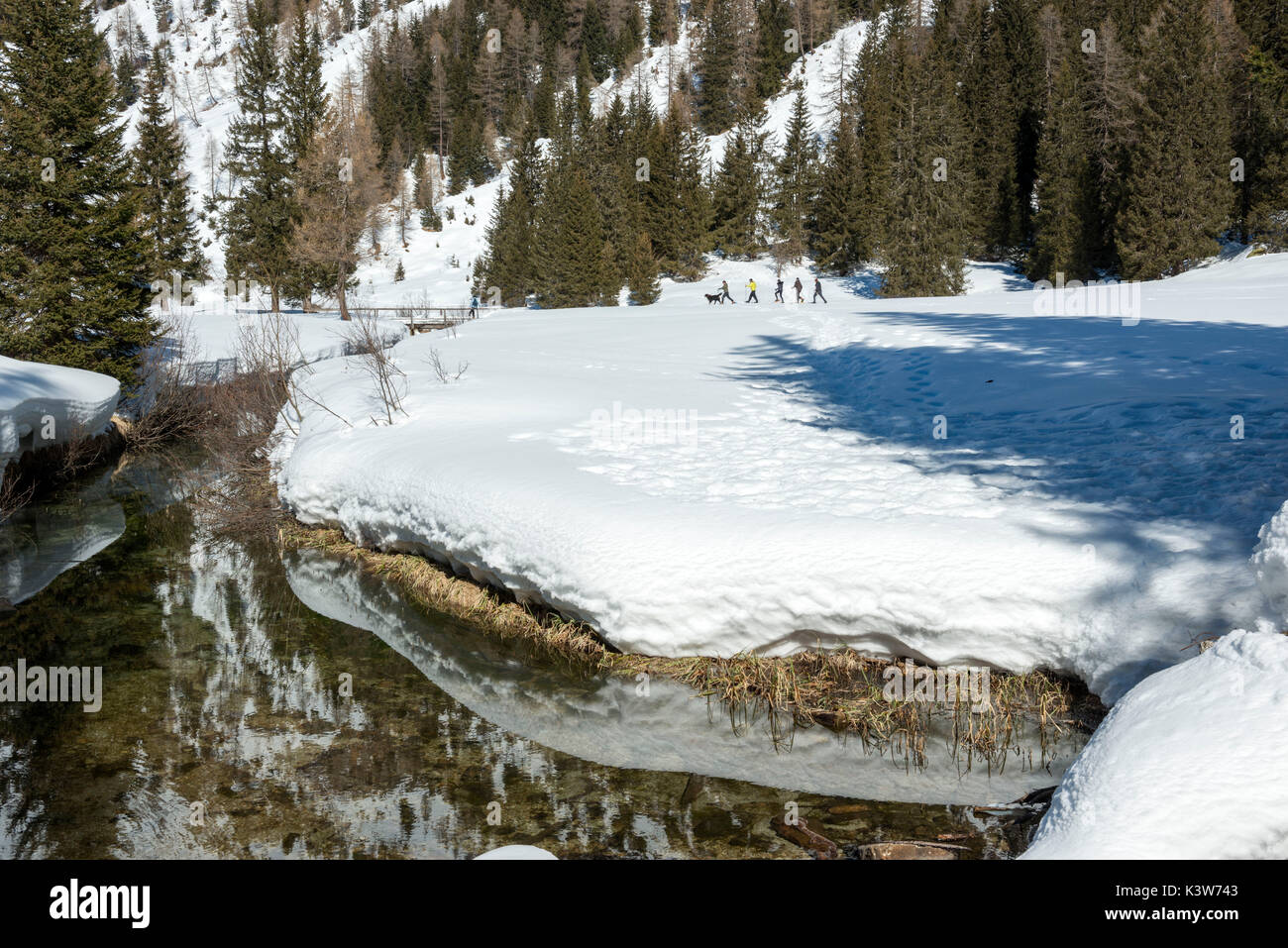 Gli escursionisti con racchette da neve avventura sulla neve verso il lago nambino, parco naturale Adamello Brenta, Madonna di Campiglio, Trentino Alto Adige, Italia, Europa. Foto Stock