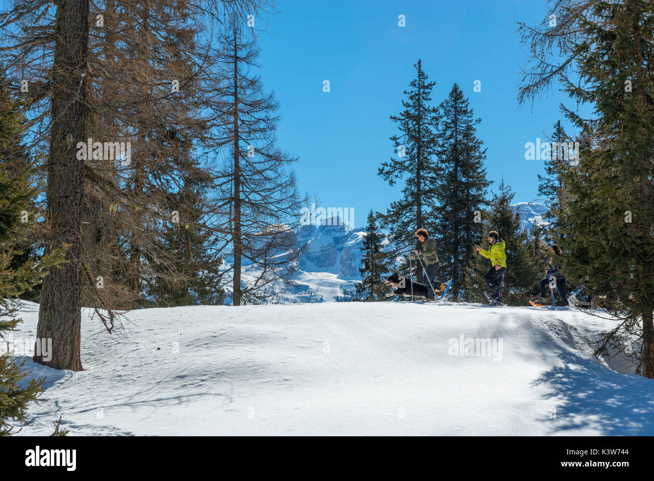 Gli escursionisti con racchette da neve avventura sulla neve verso il lago nambino, parco naturale Adamello Brenta, Madonna di Campiglio, Trentino Alto Adige, Italia, Europa. Foto Stock