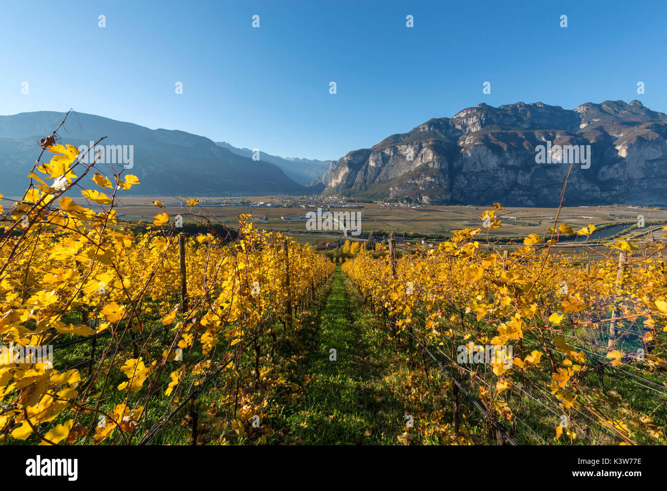 L'Italia, Trentino Alto Adige, vigneti in autunno dominano la valle dell Adige. Foto Stock