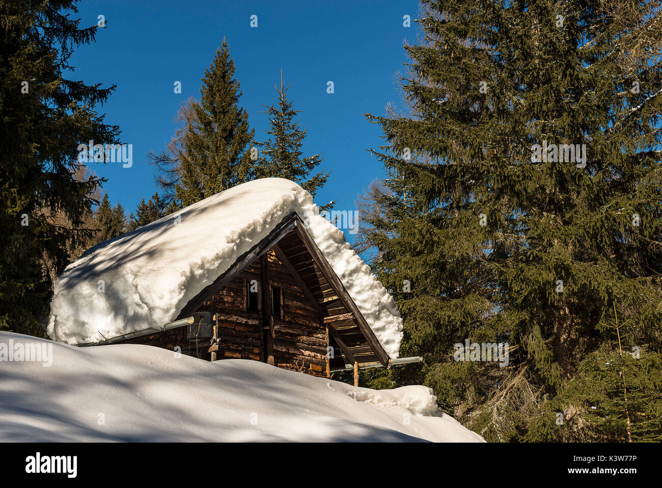 L'Italia, Trentino Alto Adige, Val di Non, neve sul tetto di una capanna in un inverno segnato dalla forte nevicata. Foto Stock