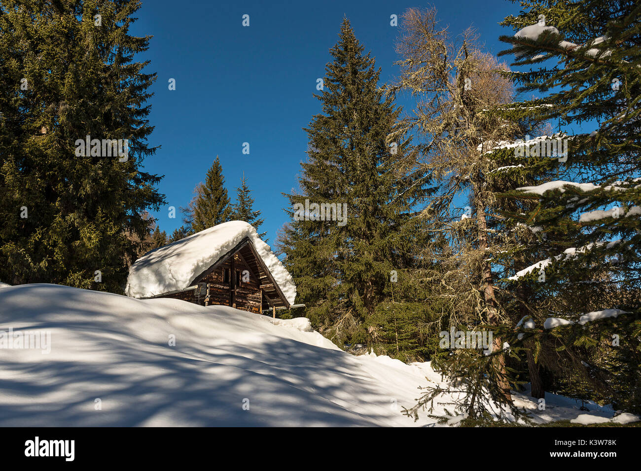 L'Italia, Trentino Alto Adige, Val di Non, neve sul tetto di una capanna in un inverno segnato dalla forte nevicata. Foto Stock