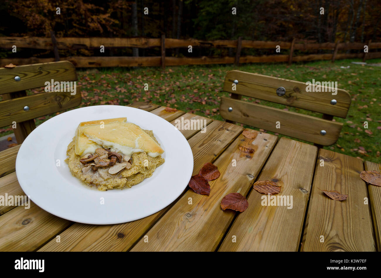 Polenta, formaggio e funghi è un tipico piatto dolomiten, Italia. Foto Stock