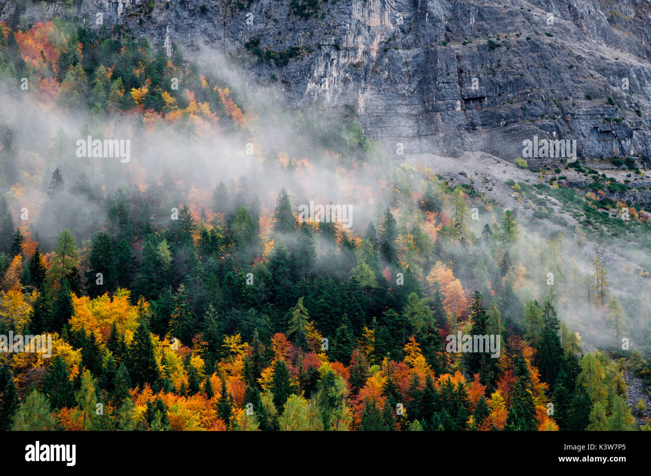 L'Italia, Trentino Alto Adige, Val di Non, nuvole accarezzare tress in una giornata autunnale. Foto Stock