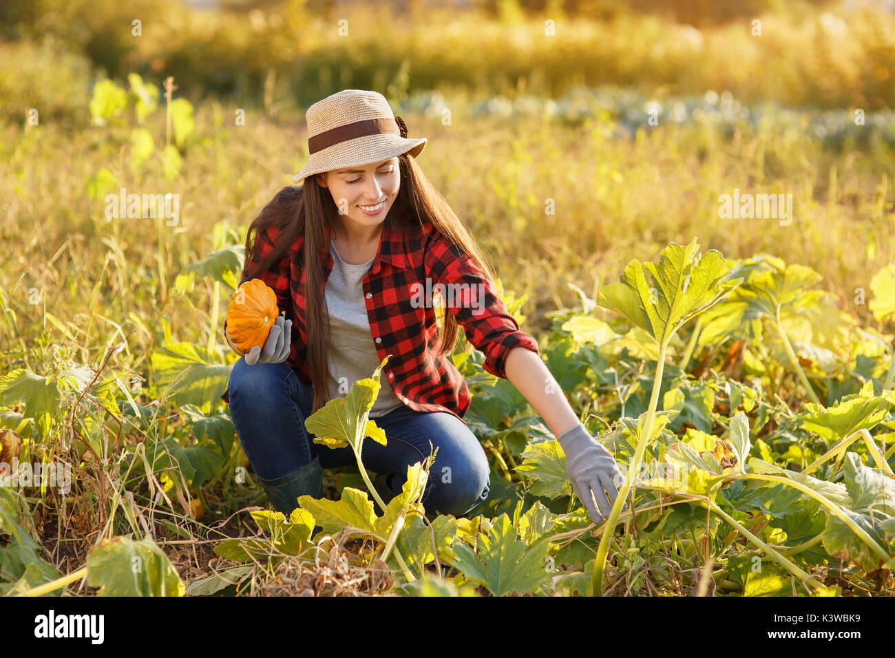 Donna giardiniere con campi da squash Foto Stock