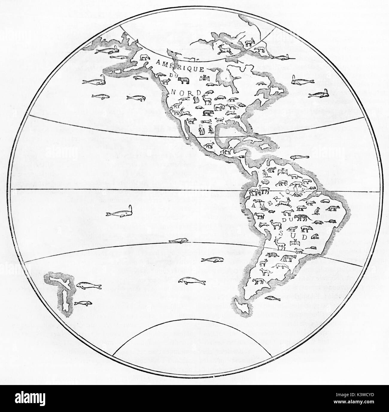 Mappa vecchia di mammiferi: emisfero occidentale. Da autore non identificato, pubblicato il Magasin pittoresco, Parigi, 1841 Foto Stock