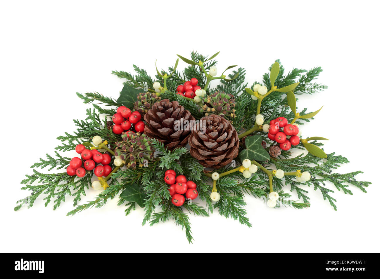 Decorazione di natale con holly, edera, vischio, cedro e ginepro rametti di  foglie e pigne su sfondo bianco Foto stock - Alamy