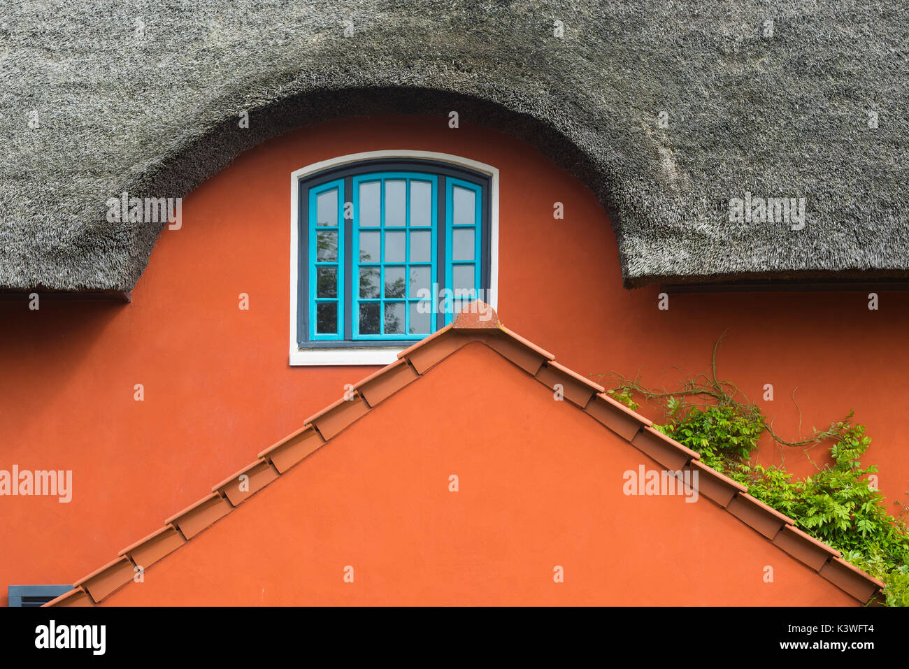 Terrakotta fassade mit blauen sprossenfenster und tür und reedtach eines hauses auf dem graswarder, heiligenhafen, SCHLESWIG-HOLSTEIN, deutschland Foto Stock