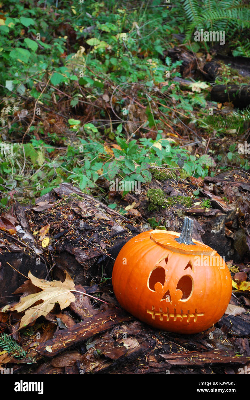 Halloween Jack-o-lantern Foto Stock