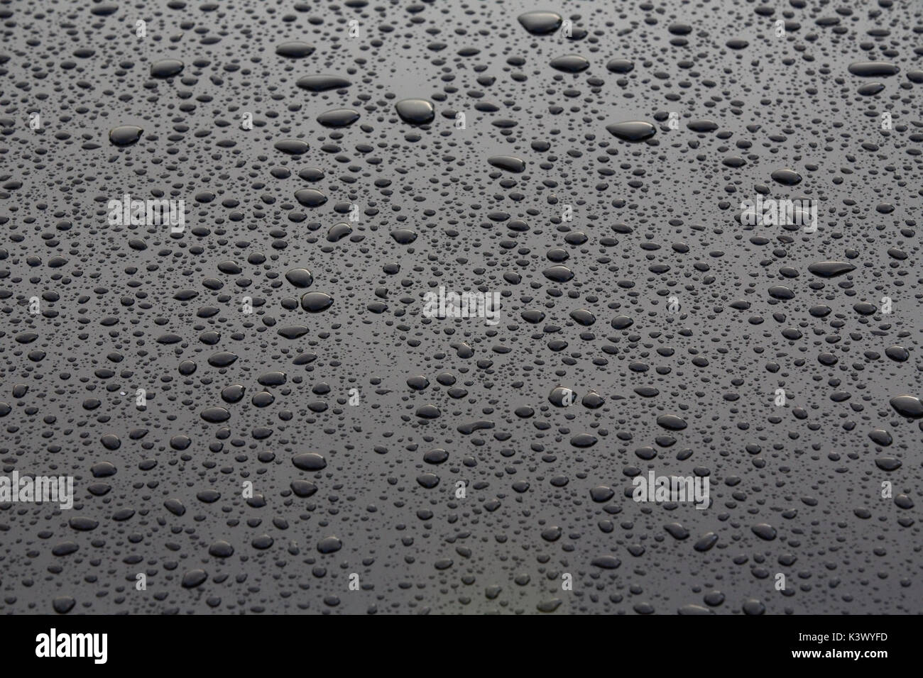 Gocce di pioggia sulla vettura Vernice metallizzata Foto Stock