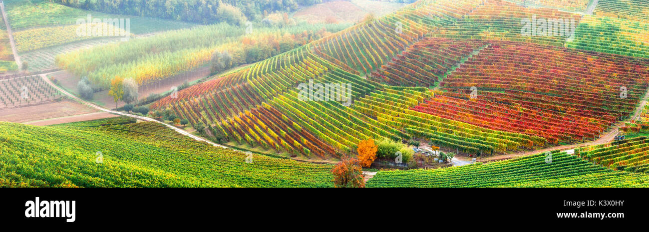 Incredibile vasti campi di variopinti vigneti in piemonte - norhen vine regione d'Italia. Foto Stock Incredibile vasti campi di variopinti vigneti in piemonte - norhen vine regione d'Italia. Foto Stock