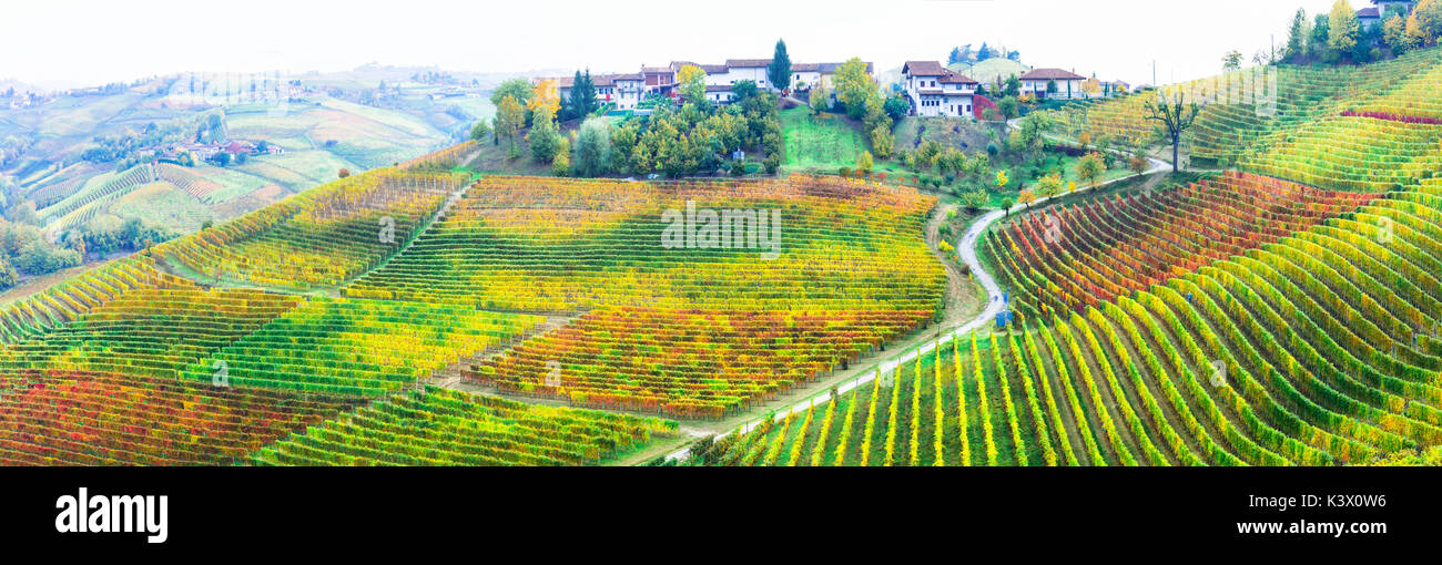Incredibile vasti campi di variopinti vigneti in piemonte - norhen vine regione d'Italia. Foto Stock Incredibile vasti campi di variopinti vigneti in piemonte - norhen vine regione d'Italia. Foto Stock