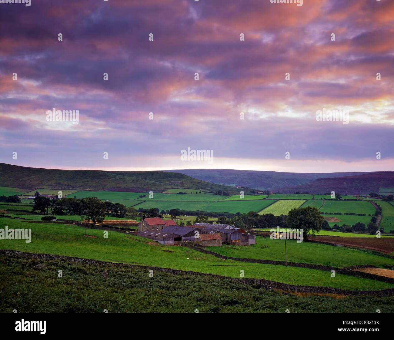 Una vista serale di terreni agricoli a westerdale nel North Yorkshire Moors, Regno Unito Foto Stock