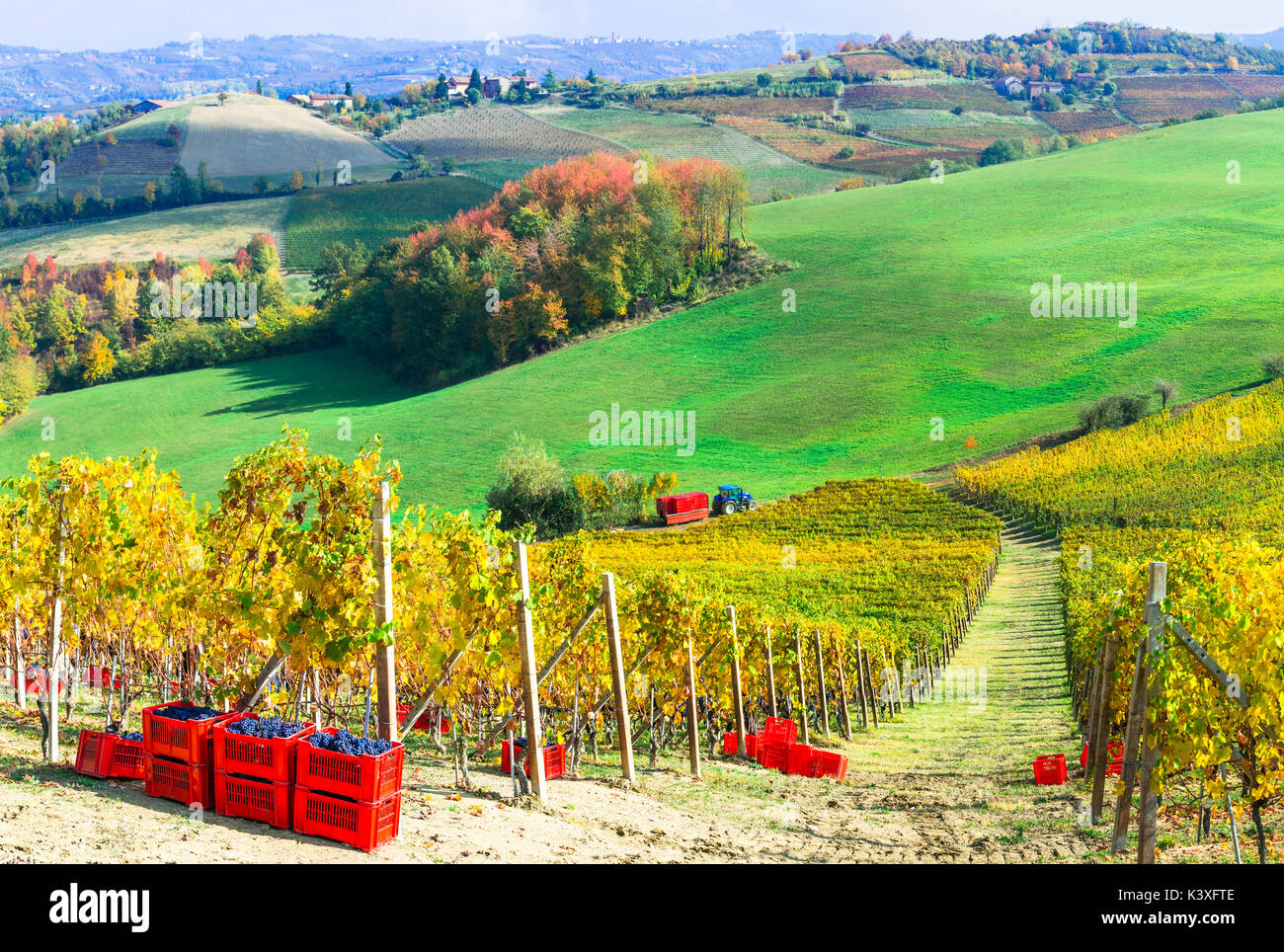 Autunno paesaggio panoramico - golden vigneti del Piemonte - regione di vite di Italia Foto Stock