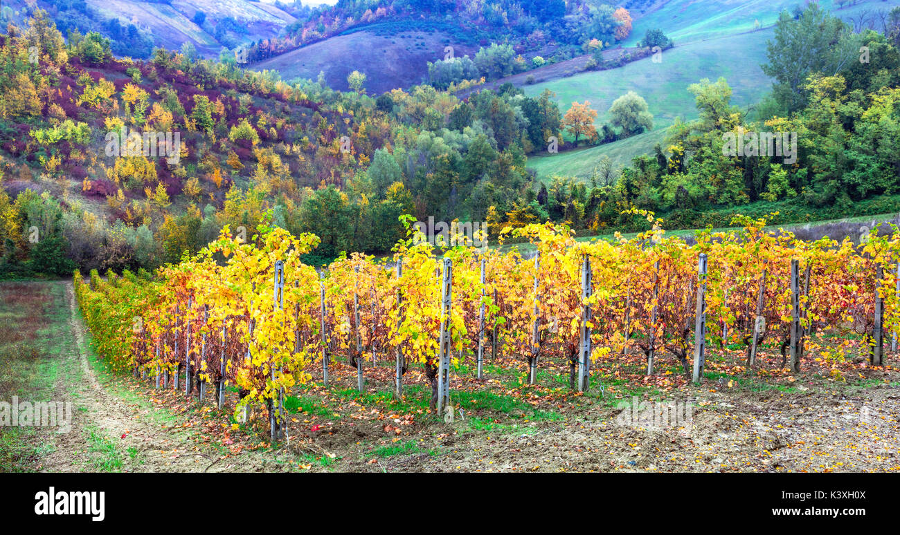 Impressionante paesaggio autunnale,tradizionale toscana,l'Italia. Foto Stock