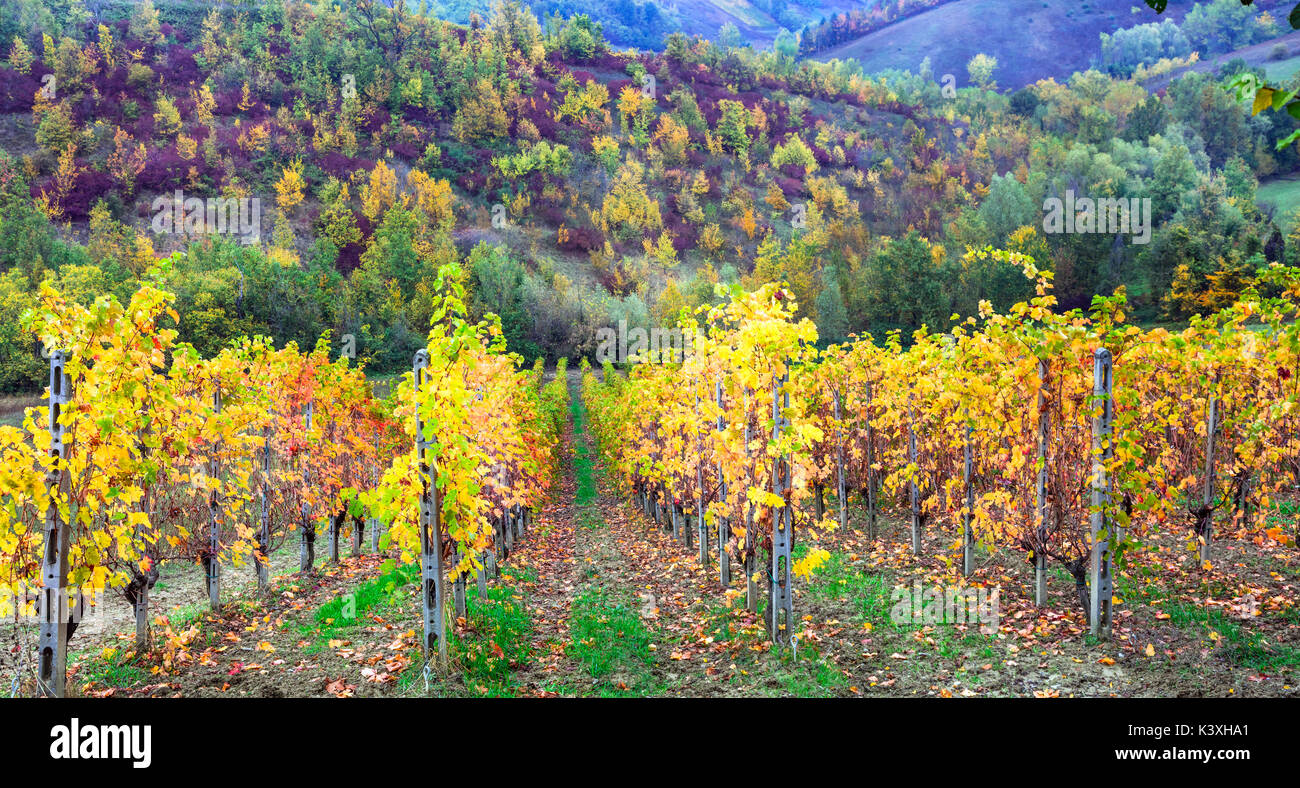 Impressionante paesaggio autunnale,tradizionale toscana,l'Italia. Foto Stock