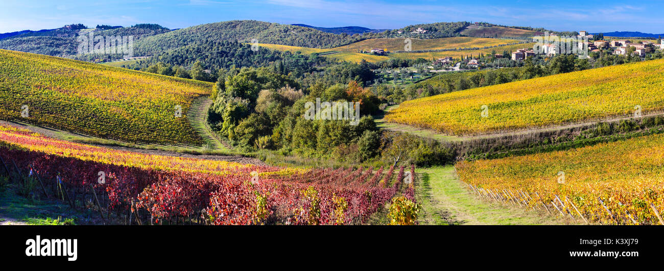Paesaggio autunnale- golden vigneti della Toscana chianti - vitigno principale regione di Italia Foto Stock