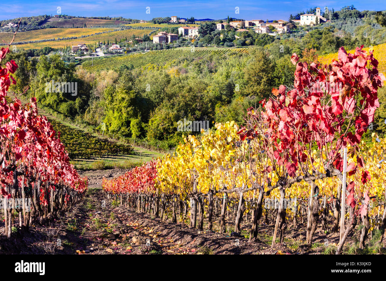 Paesaggio autunnale - golden vigneti della Toscana - regione di vite di Italia Foto Stock