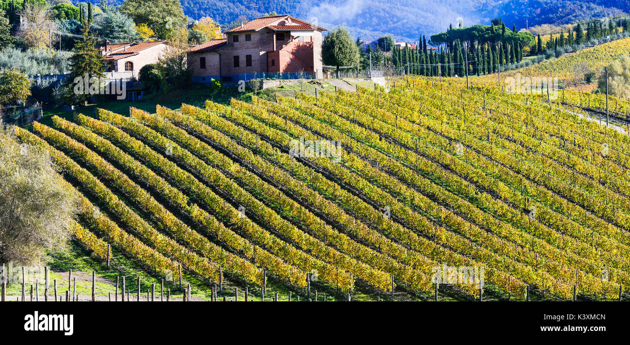 Paesaggio autunnale- golden vigneti della Toscana chianti - vitigno principale regione di Italia Foto Stock