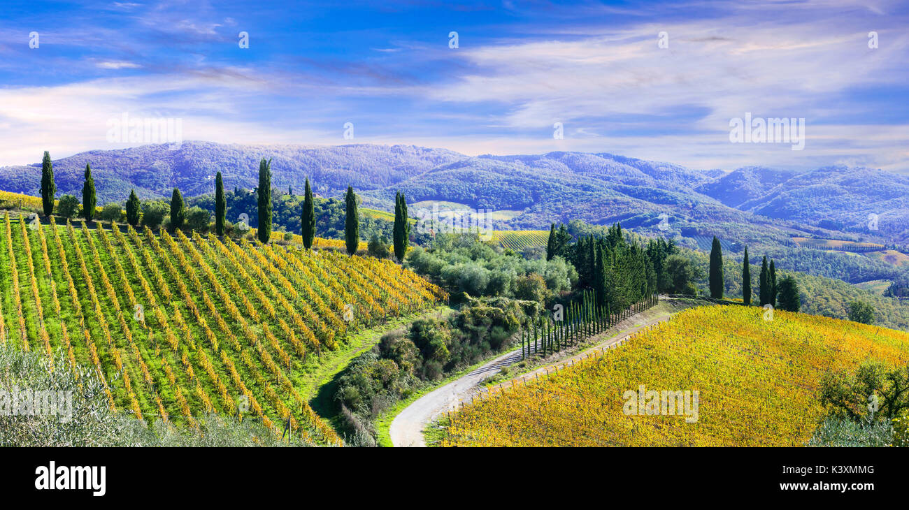 Paesaggio autunnale- golden vigneti della Toscana chianti - vitigno principale regione di Italia Foto Stock