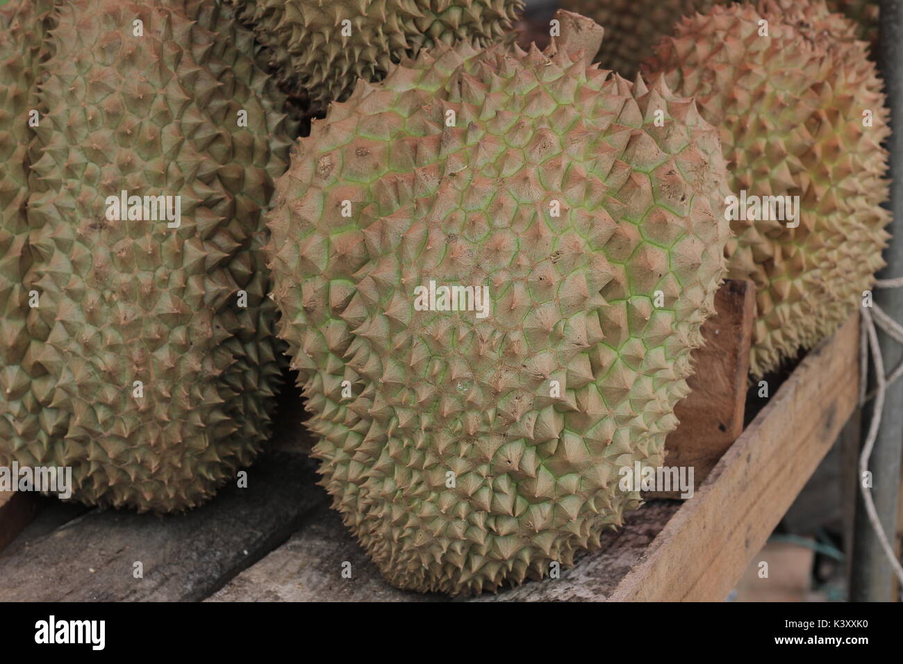 Shopping durians re della frutta Foto Stock