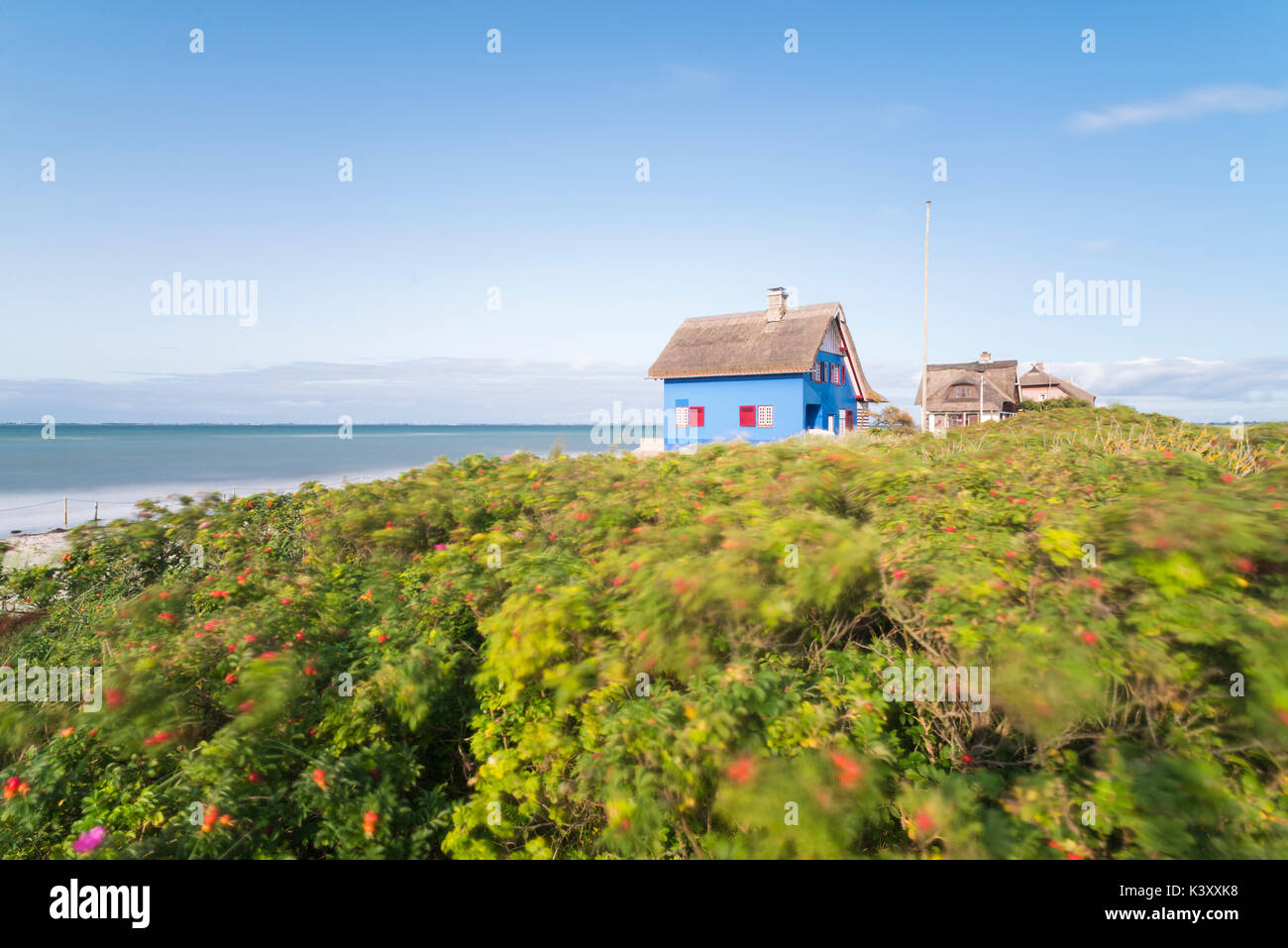 Storica spiaggia blu casa con tetto di paglia e cane cespugli di rose offuscata dal vento sulla penisola di graswarder a heiligenhafen, Germania Foto Stock