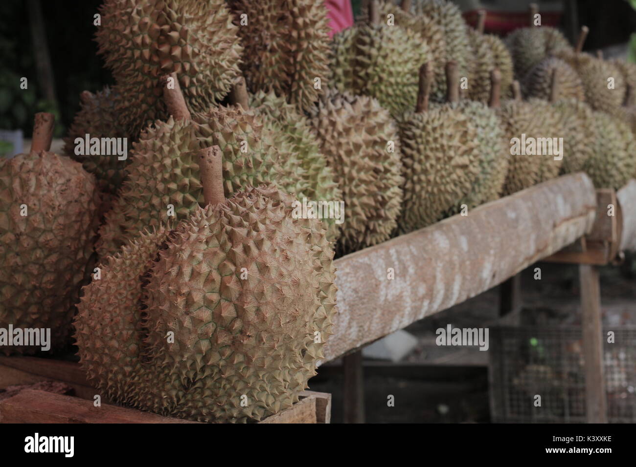 Shopping durians re della frutta Foto Stock