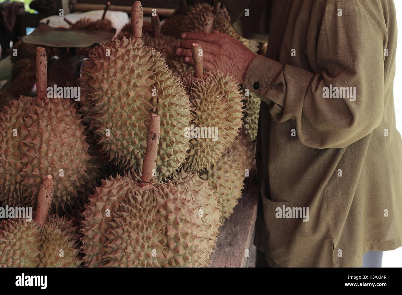 Shopping durians re della frutta Foto Stock