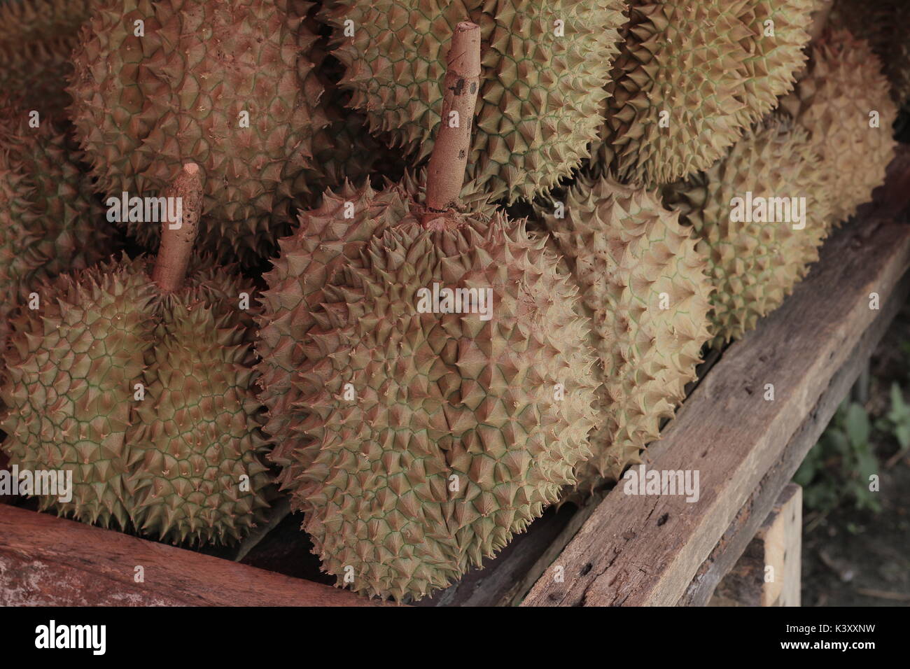 Shopping durians re della frutta Foto Stock