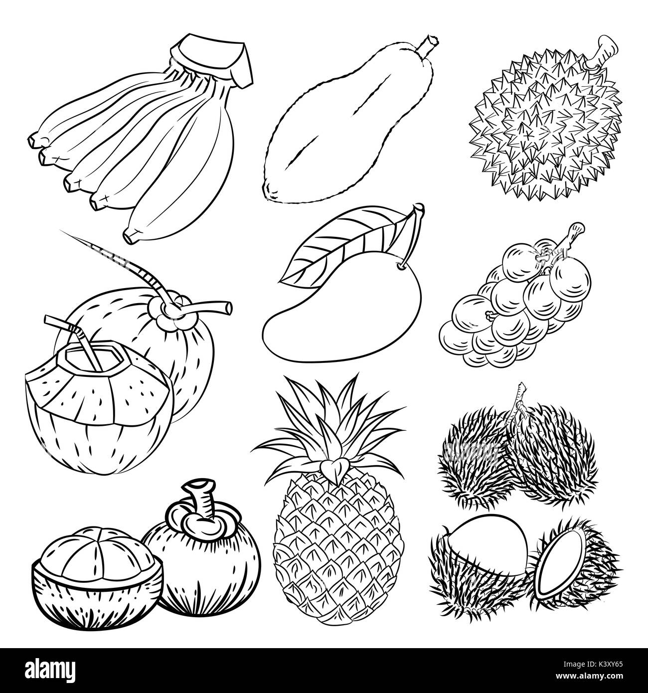 Disegnata a mano insieme di frutta tropicale con papaia, Mango, ananas, noce di cocco, mangosteen, durian, rambutan langsat e. Vintage disegnati a mano sketc Illustrazione Vettoriale