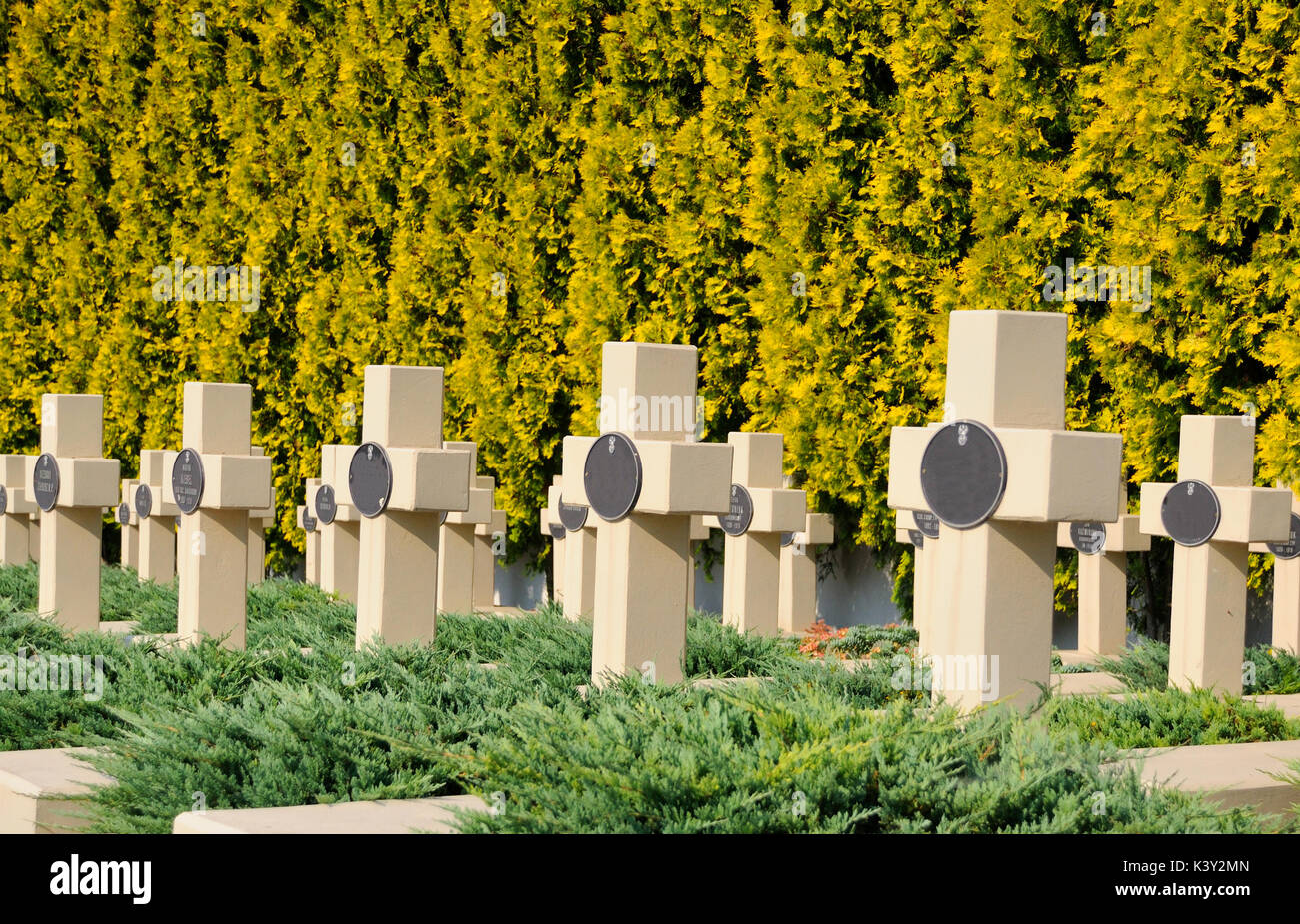 Antica statua nel cimitero di lychakiv di Lviv, Ucraina Foto Stock