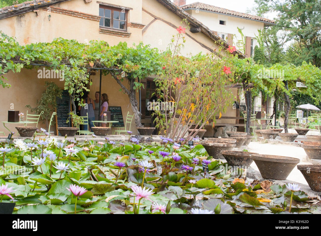 Giardini d'acqua di Labor-Marliac famosa per la coltivazione di ninfee Foto Stock