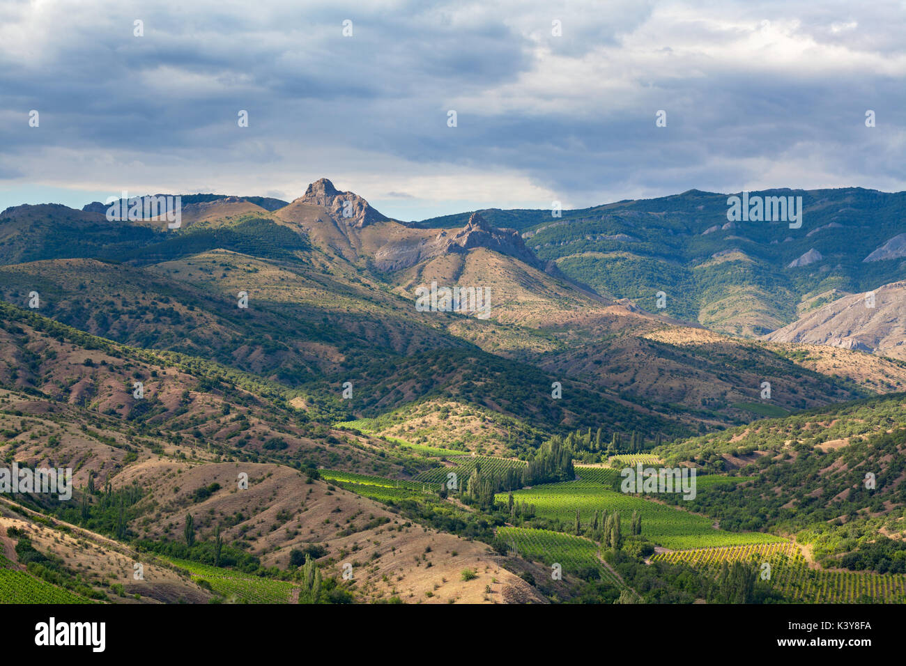 Il paesaggio della valle di montagna con vigneti ai piedi della vallata su uno sfondo con cielo nuvoloso Foto Stock