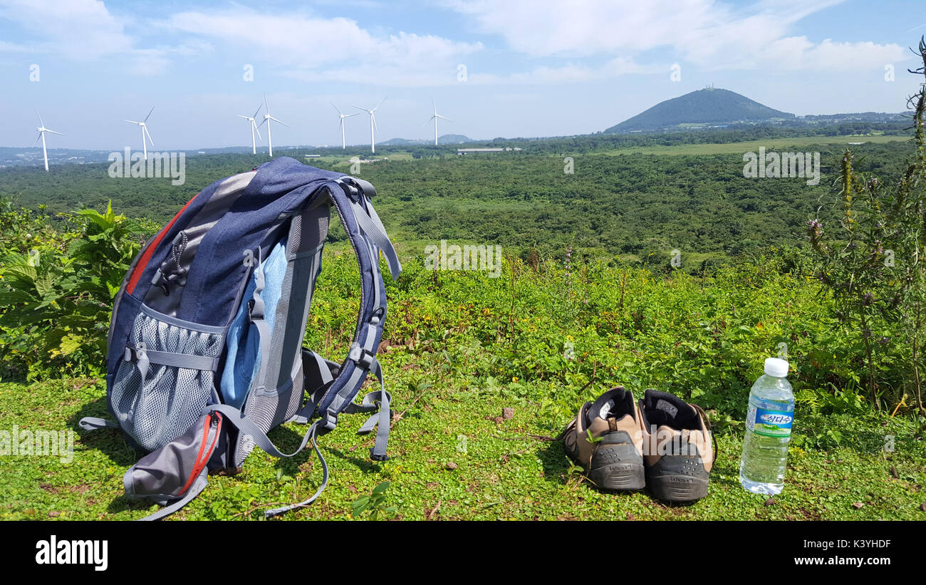 Paesaggio di Olle trail di Jeju Island Foto Stock