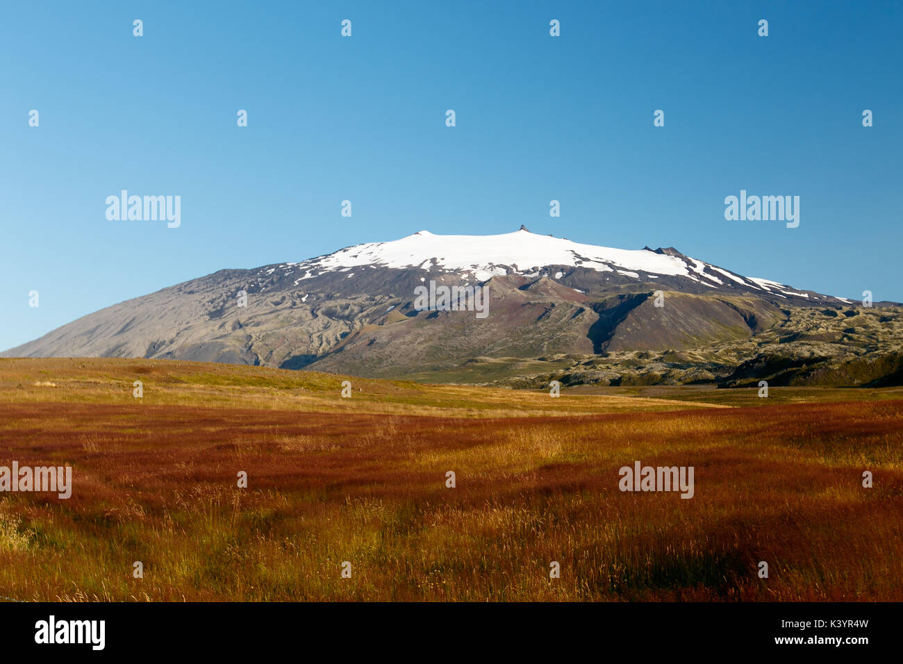 Campo erboso di fronte Snaefellsjokull montagna in Hellnar, Islanda. Foto Stock