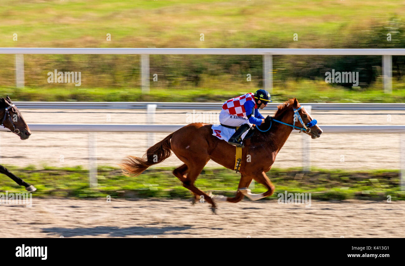 PYATIGORSK,RUSSIA - settembre 03,2017: corsa di cavalli per il premio in onore del G.P.Derube - la più antica ippodromi in Russia.Avanti - master jockey mio Foto Stock