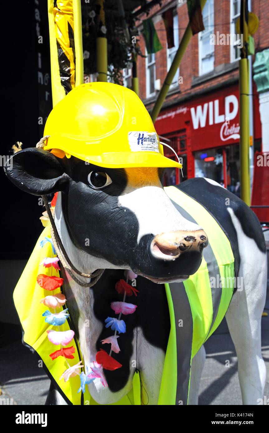 Statua di mucca vestita di ingranaggio di sicurezza comprendente un elmetto, Nottingham, Nottinghamshire, Inghilterra, Regno Unito, Europa occidentale. Foto Stock
