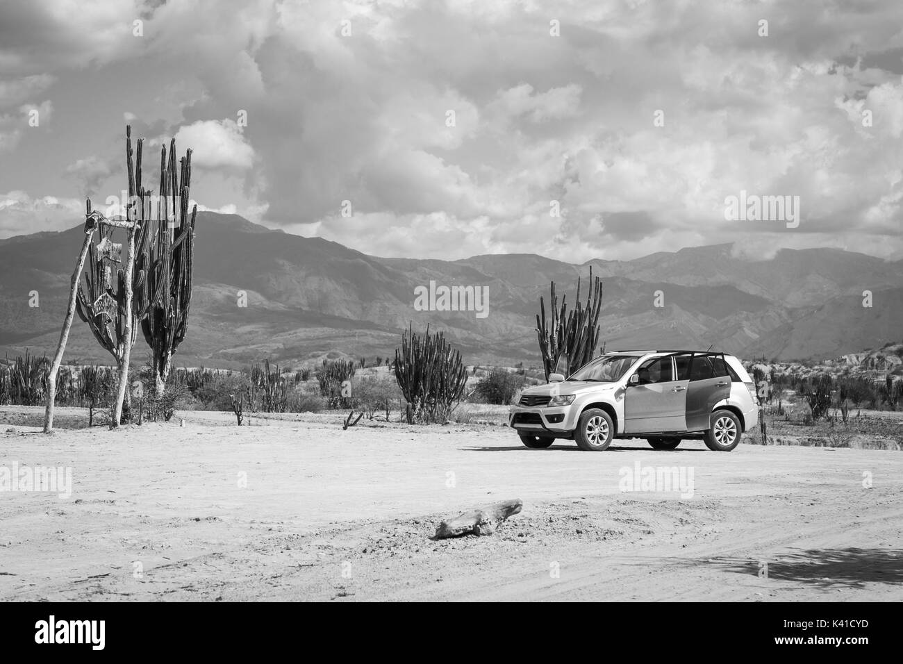 Grandi cactus nel deserto rosso, tatacoa desert, Colombia, America latina, Nuvole e sabbia, sabbia rossa nel deserto Foto Stock