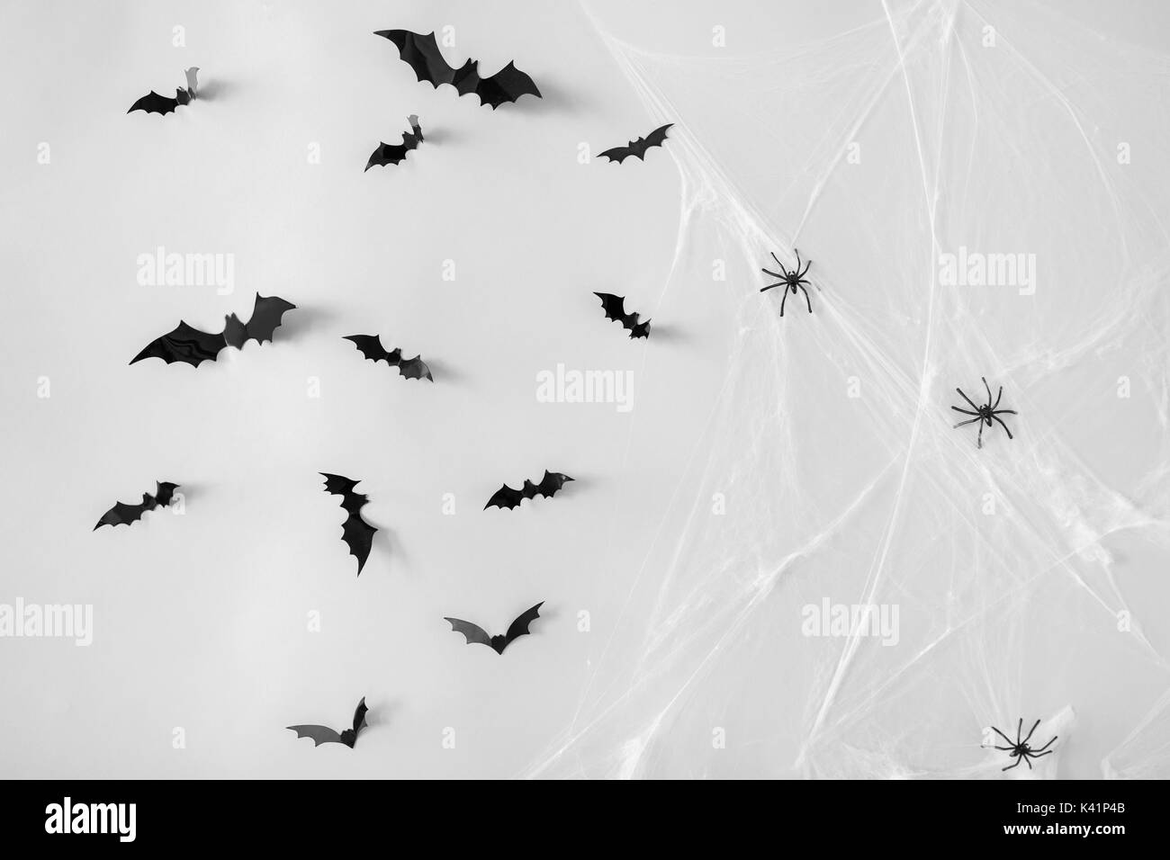 Decorazione di halloween di pipistrelli e ragni sul web Foto Stock