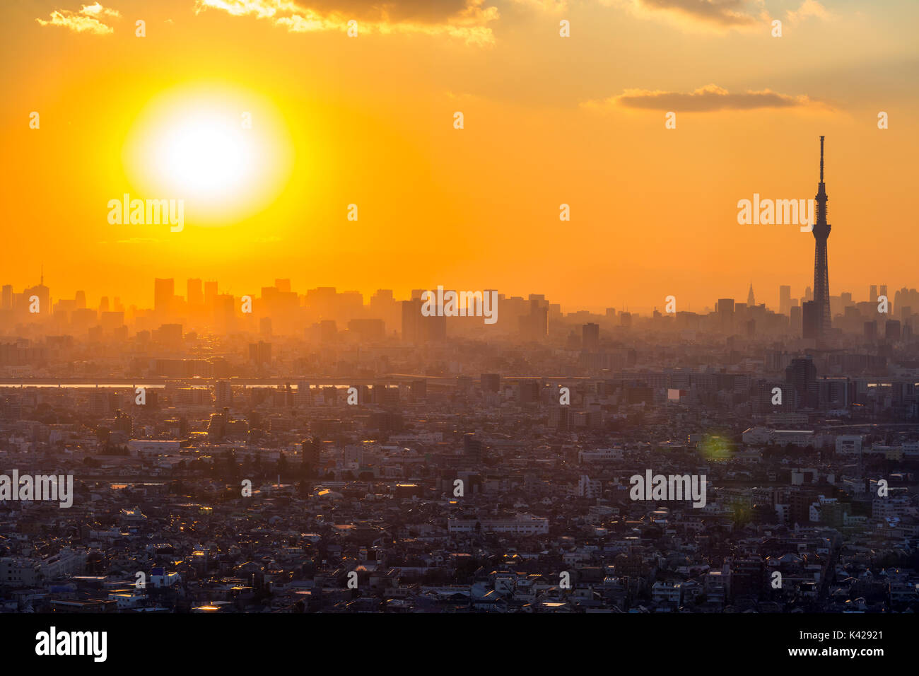 Il Tokyo City vista aerea e il Monte Fuji Foto Stock