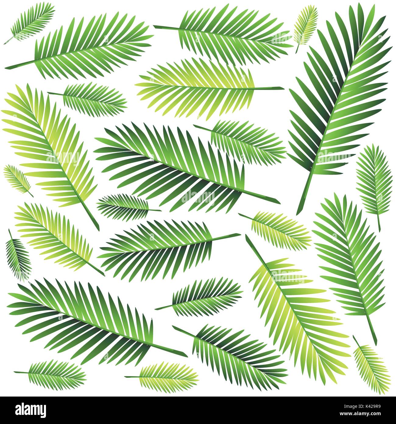 Tropical foglie di palma, jungle lascia il vettore senza giunture motivo floreale sfondo pagina del sito web e mobile app design illustrazione vettoriale Illustrazione Vettoriale