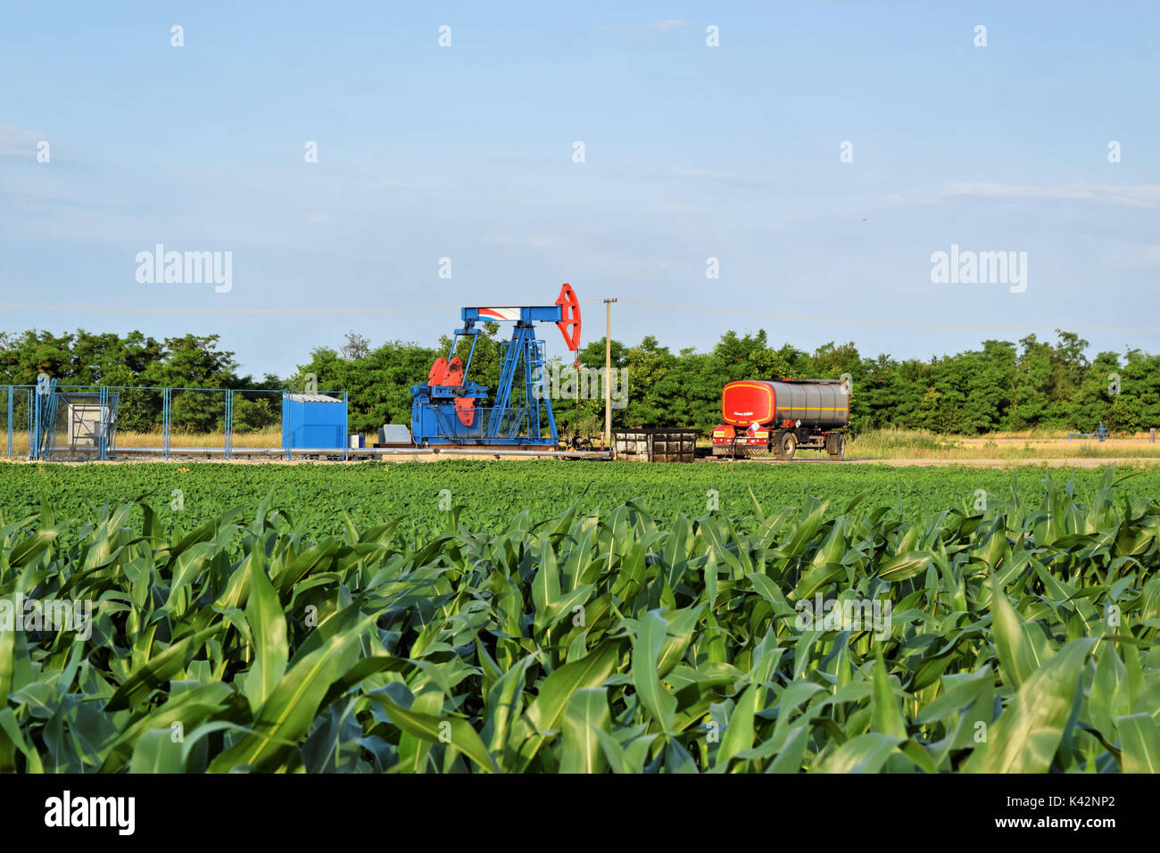 Pompa di petrolio in terreni agricoli di mais - tecnologia di sporco Foto Stock