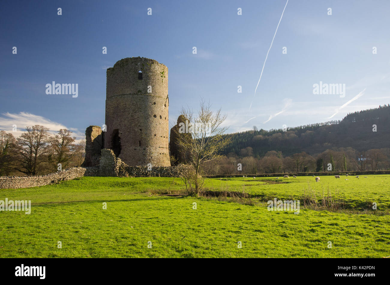 Tretower rovine del castello in Powys, Wales, Regno Unito. Giornata di sole e cielo blu. Foto Stock