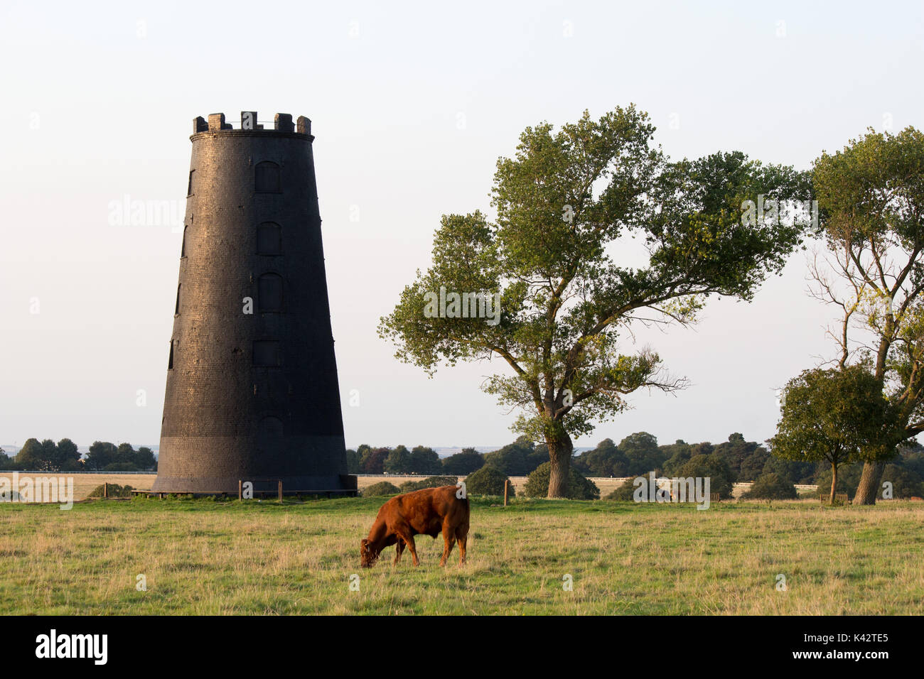 Il mulino di nero sulla Westwood tenuta vicino a Beverley golf club e si affaccia sulla città di Beverley Foto Stock