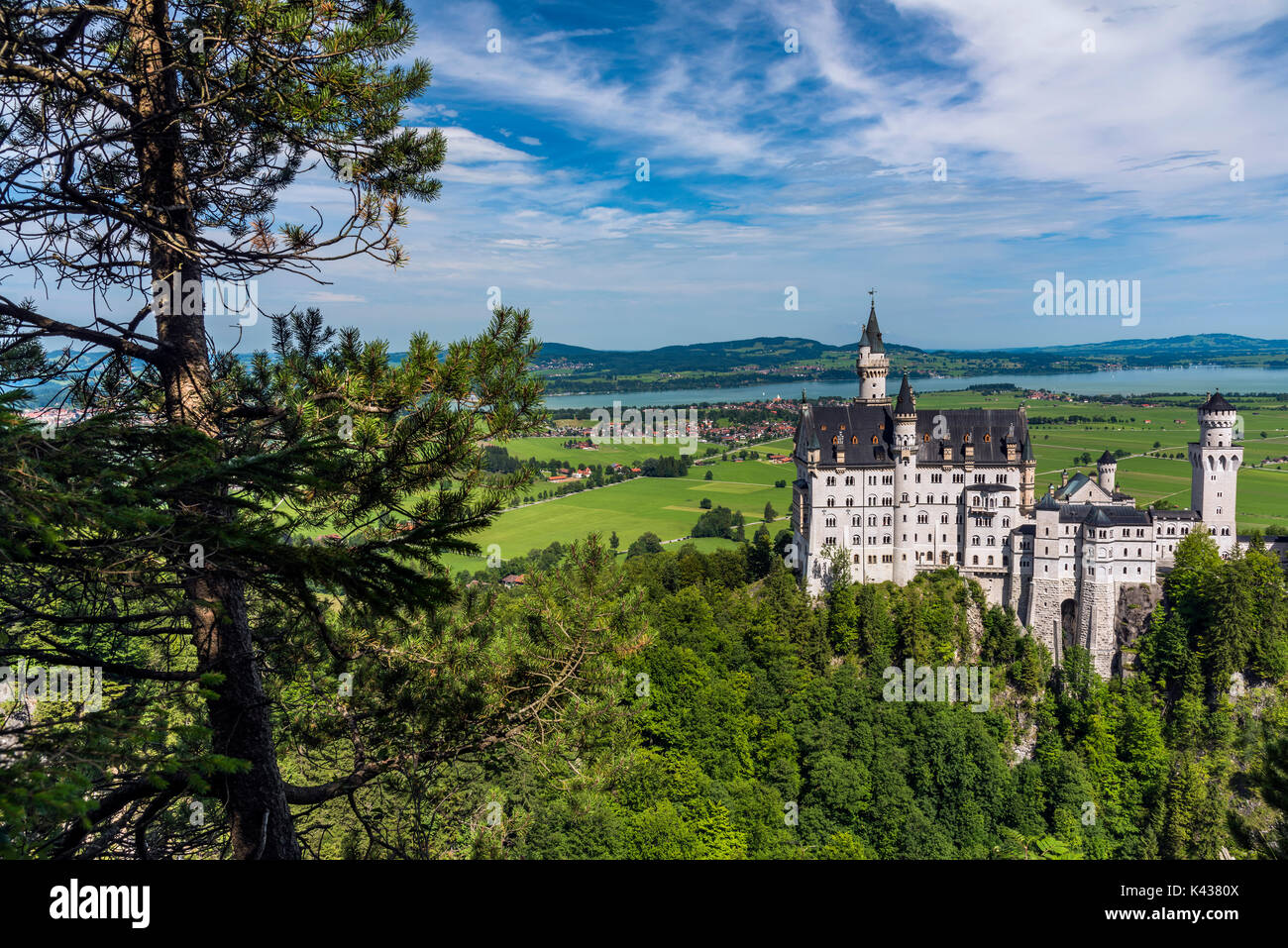 Il Castello di Neuschwanstein o il Castello di Neuschwanstein, Schwangau, Baviera, Germania Foto Stock