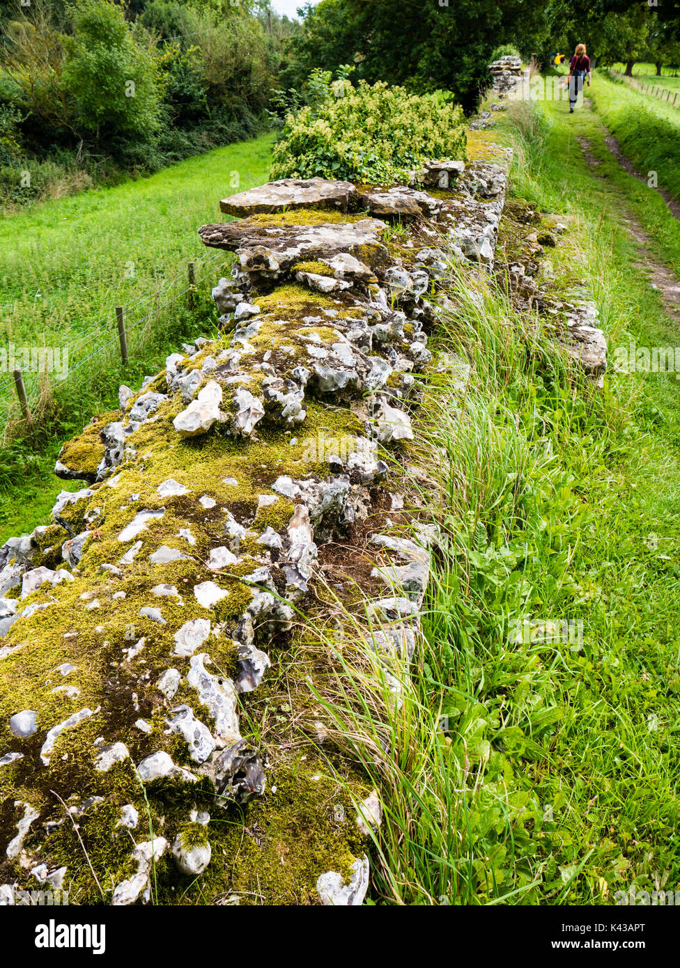 Silchester Roman City Walls and Amphitheatre, Hampshire, Inghilterra, Regno Unito, GB. Foto Stock