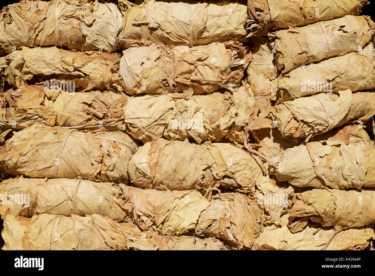 Le foglie di tabacco in vendita presso il bazar, Shiraz, Iran Foto stock -  Alamy