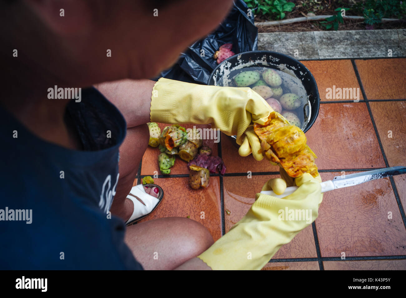 Crudo fresco fichidindia froot dalla Puglia sud italia Foto Stock