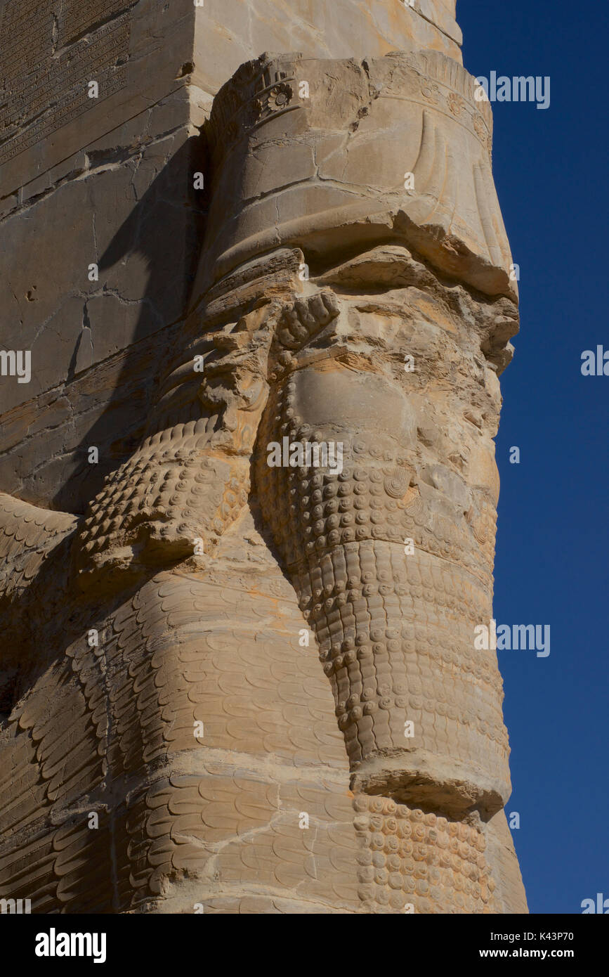 La porta di tutte le nazioni, Persepolis, Iran. Lamassus, tori con le teste di uomo barbuto Foto Stock