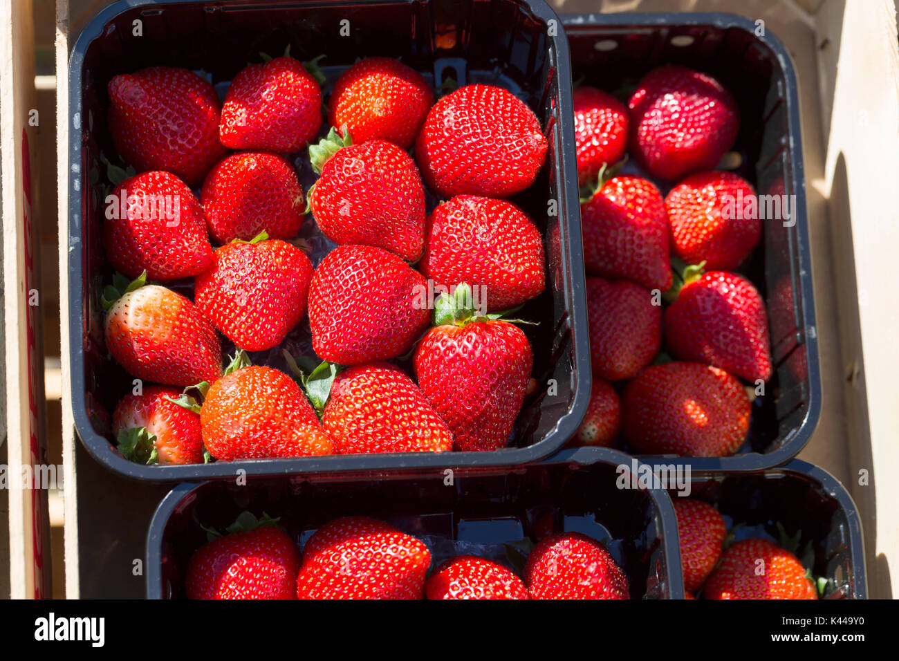 Fresche fragole mature in scatole di plastica Foto Stock